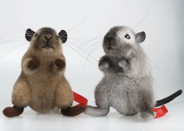 Fig. 2: Cooperation with Kösen