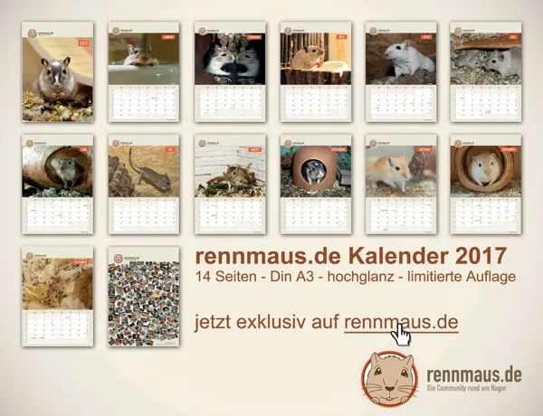 Fig. 3: The annual wall calendar