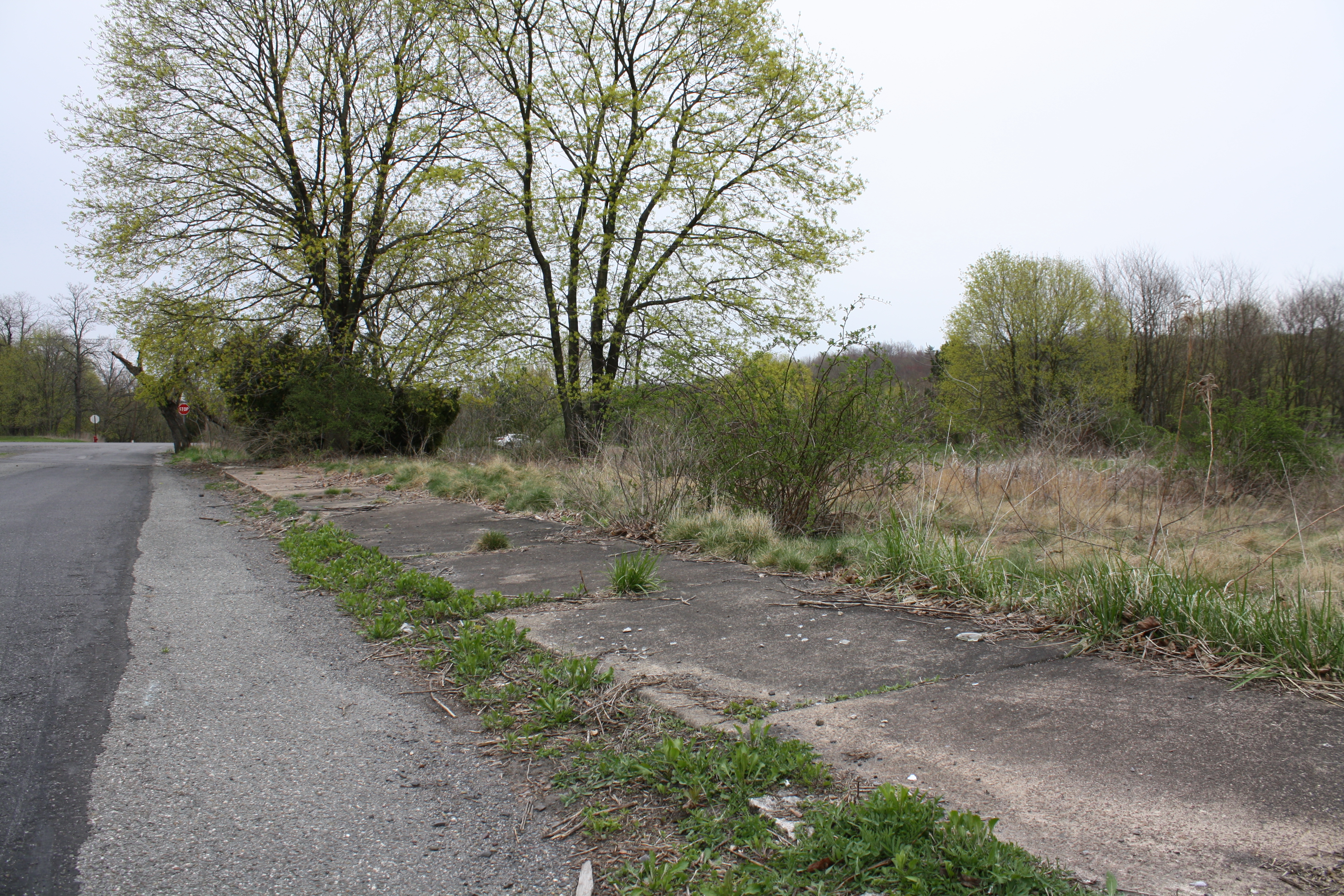 The sidewalks are largely destroyed.
