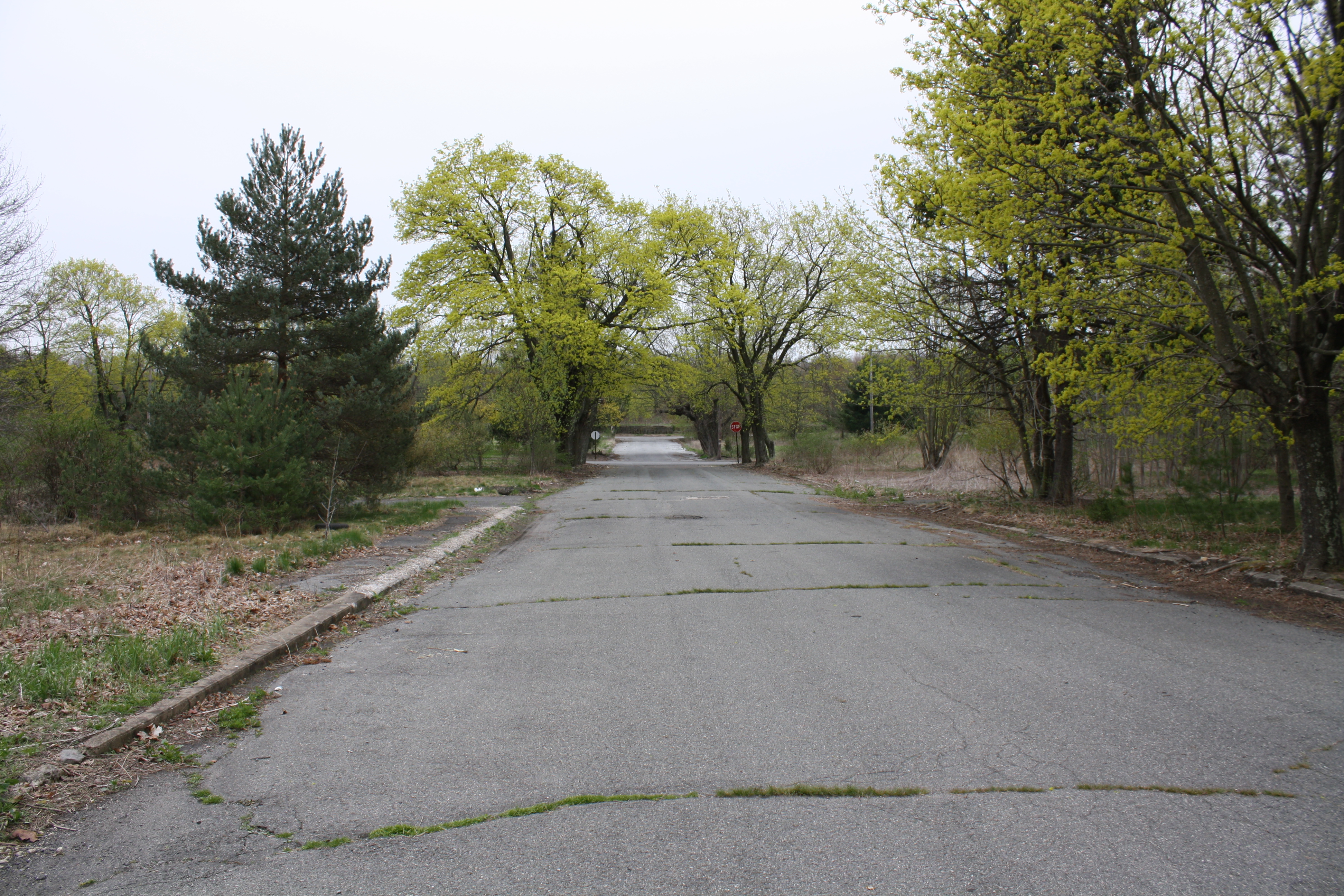 An intersection with street signs — but no traffic.