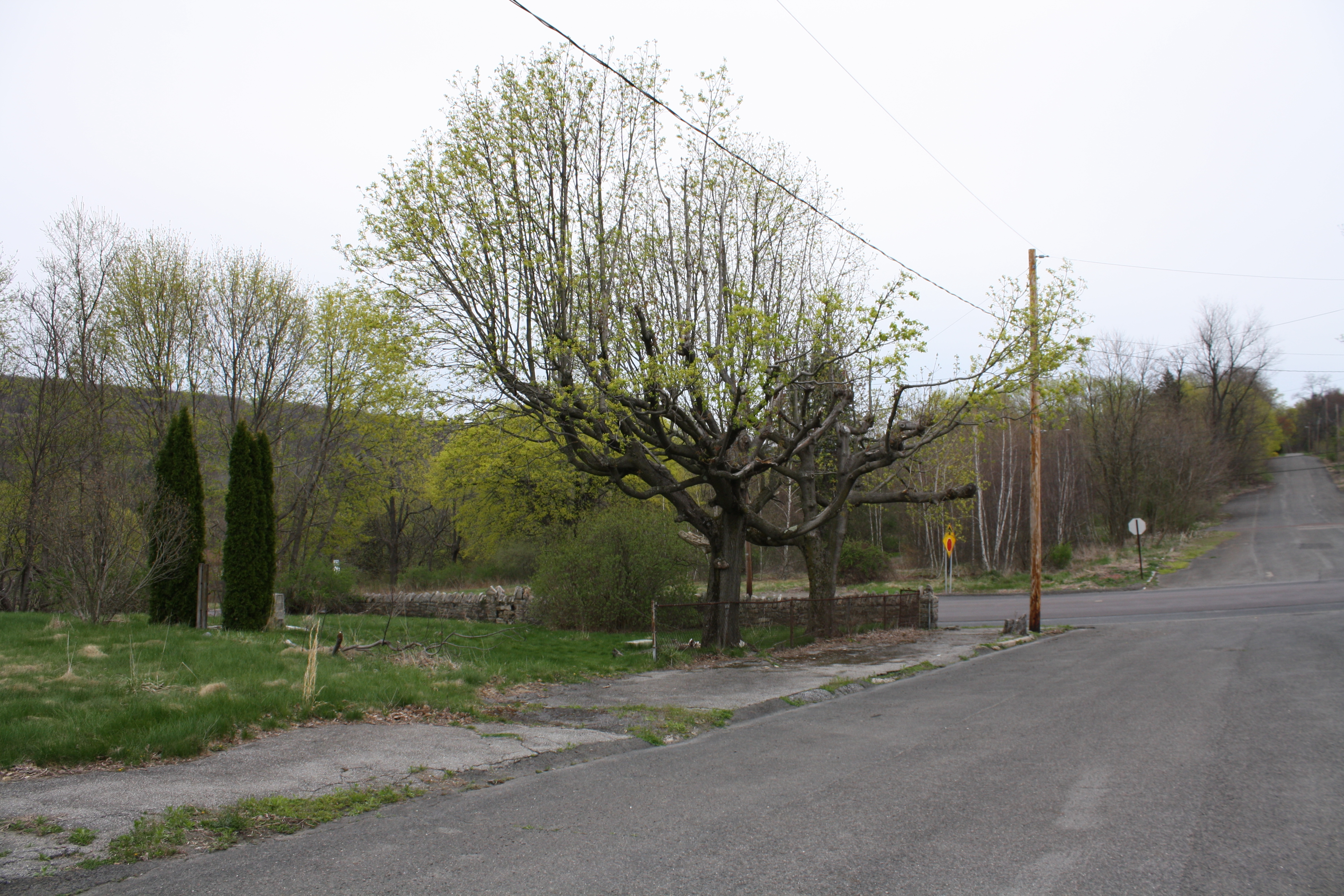 A garden wall without a garden.